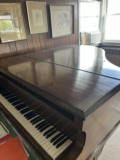 Free Baby Grand Piano - photo 2
