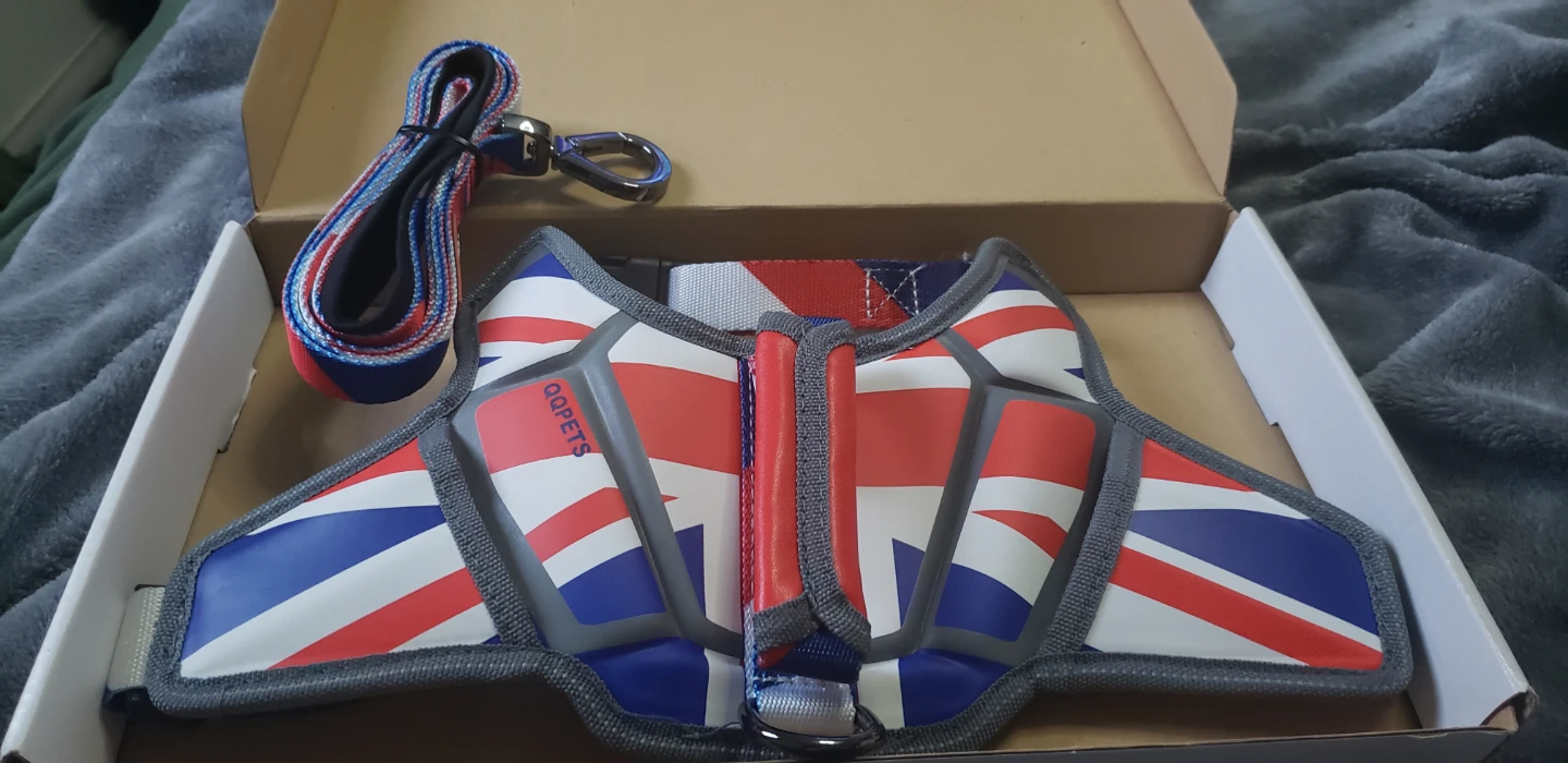 Brand new Union Jack Dog Harness and Leash Set