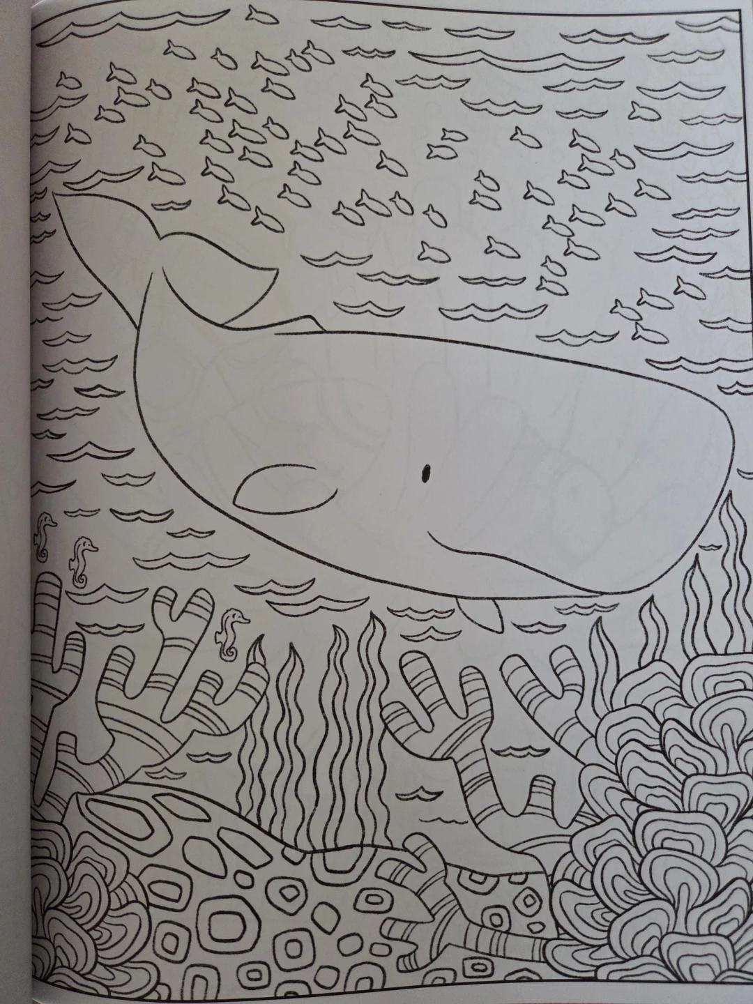 Large Coloring Book 107pages - photo 3
