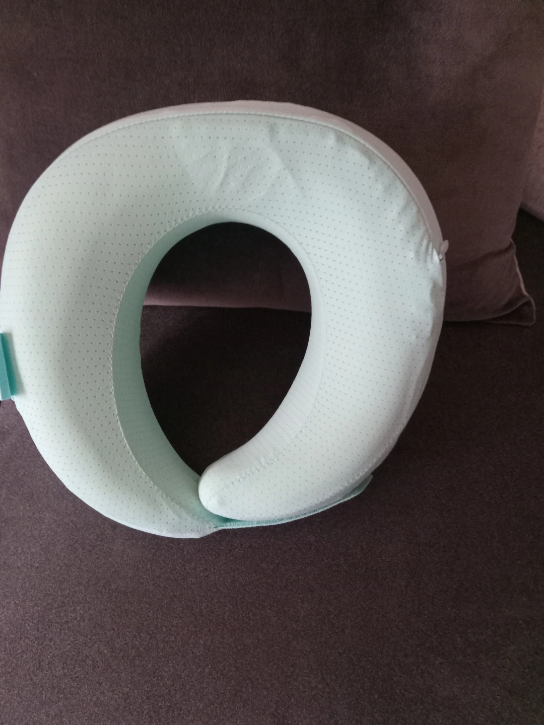 Mint Green Travel Neck Pillow