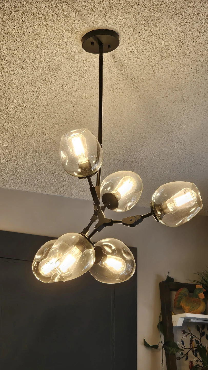 Modern 5-Light Branch Chandelier