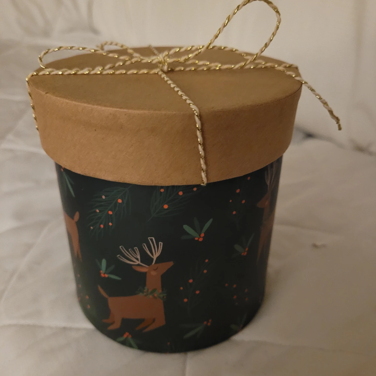 Molly & Rex Holiday Storage Tin - photo 2