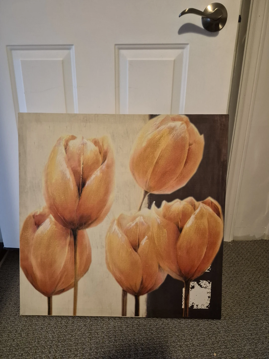 Orange Tulip Canvas Wall Art🏈