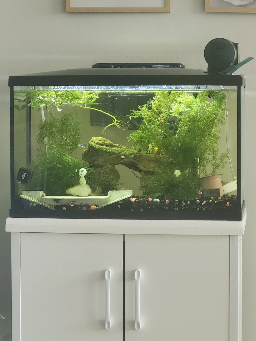 10 Liters Black Aquarium Tank
