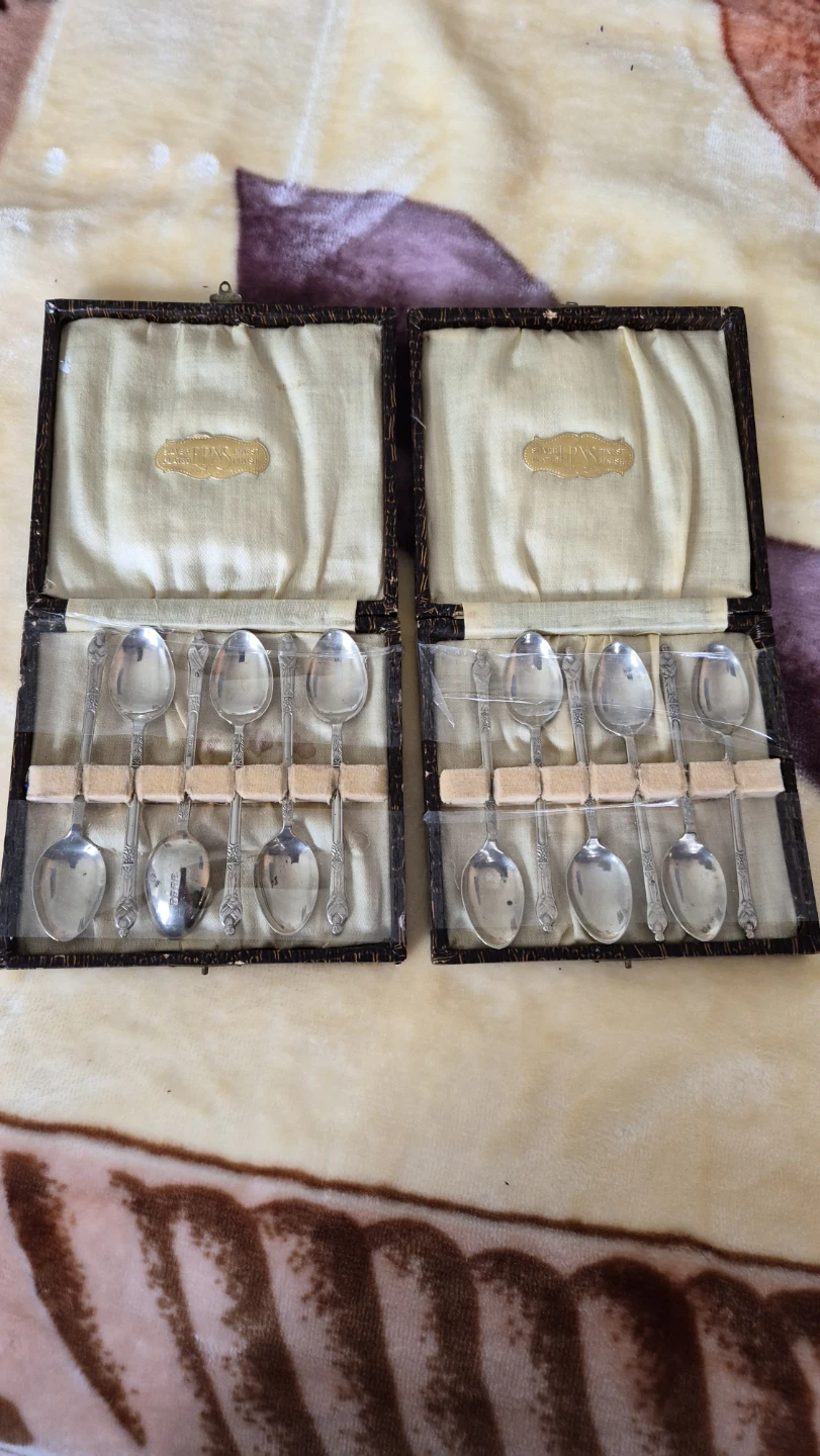 Vintage PNS Silver Plated Spoon Set