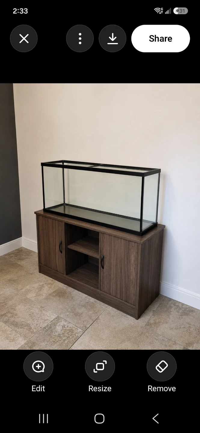 55 gallon aquarium