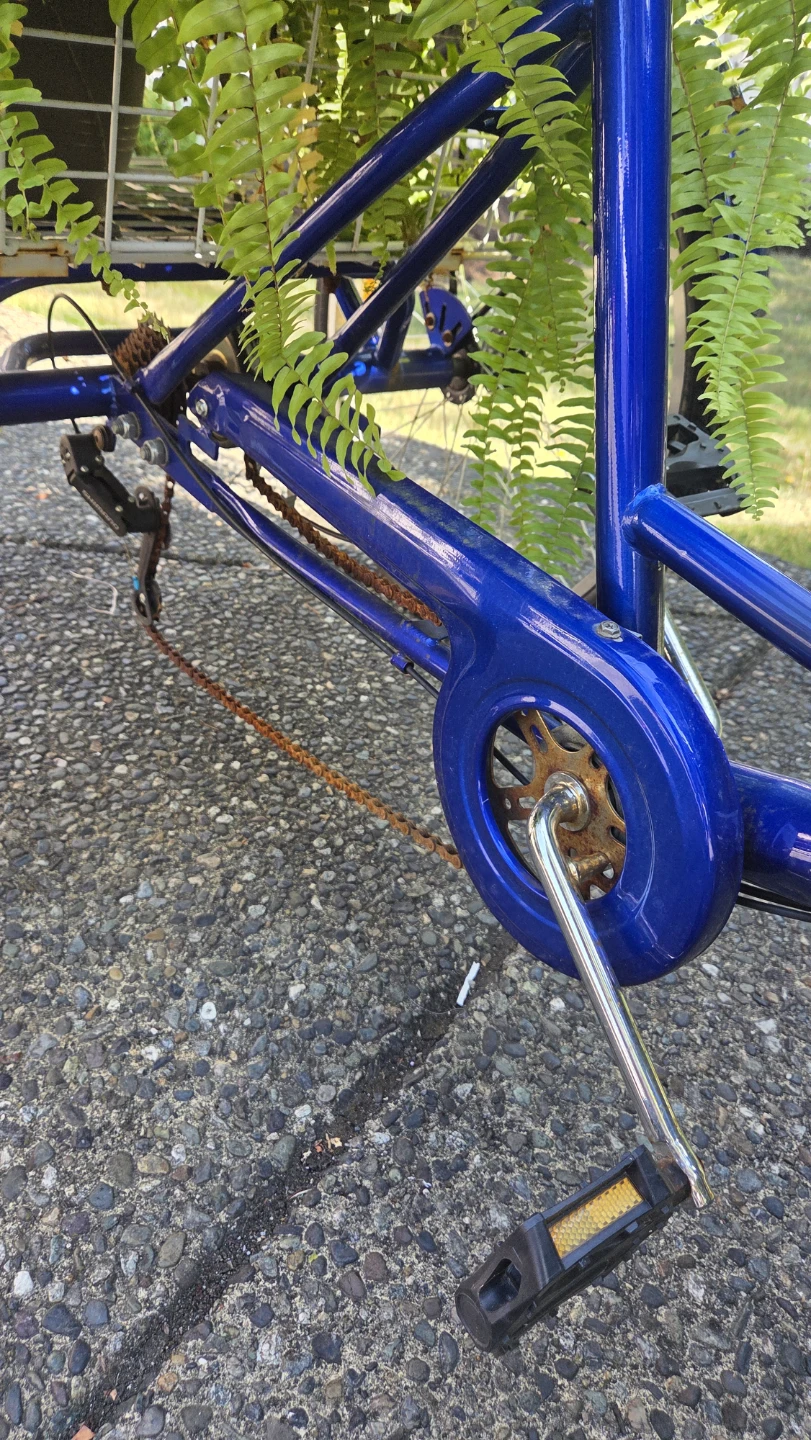 Blue Adult Tricycle  with Fern & Basket - photo 3