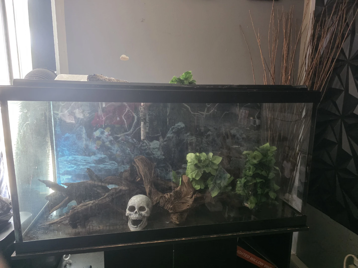 Glass Aquarium Tank