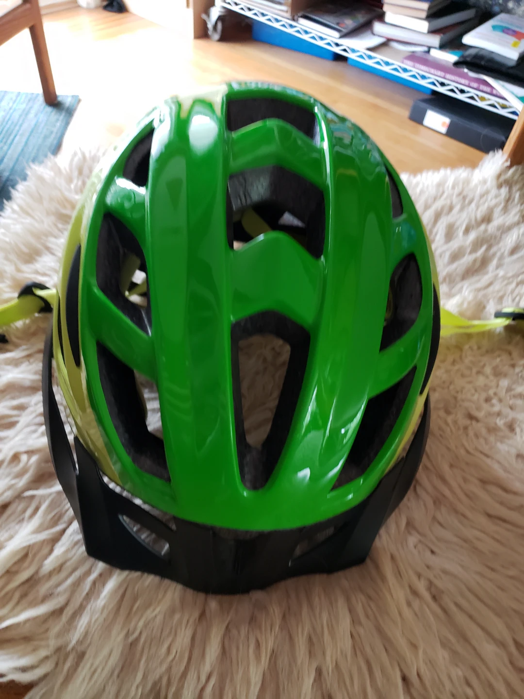Schwinn Adult Bicycle Helmet Green