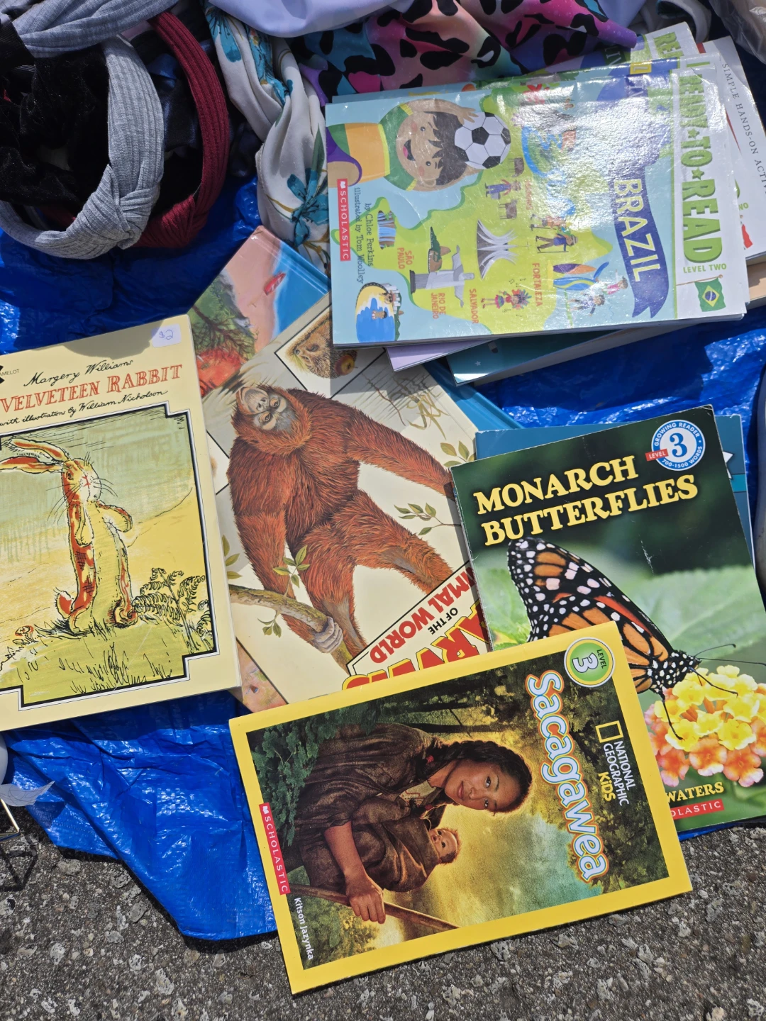 Assorted Scholastic Kids Books