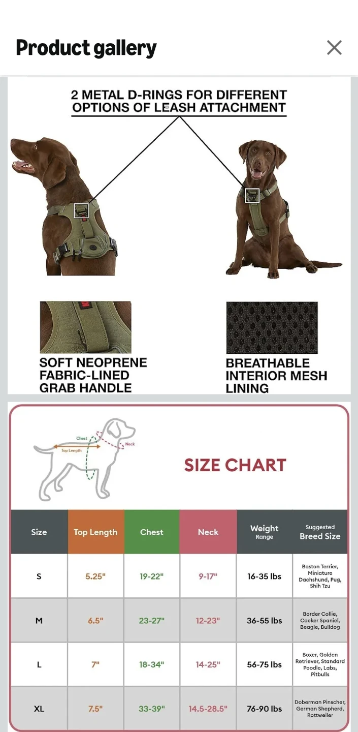 🐕Large dog bundle items! - photo 2