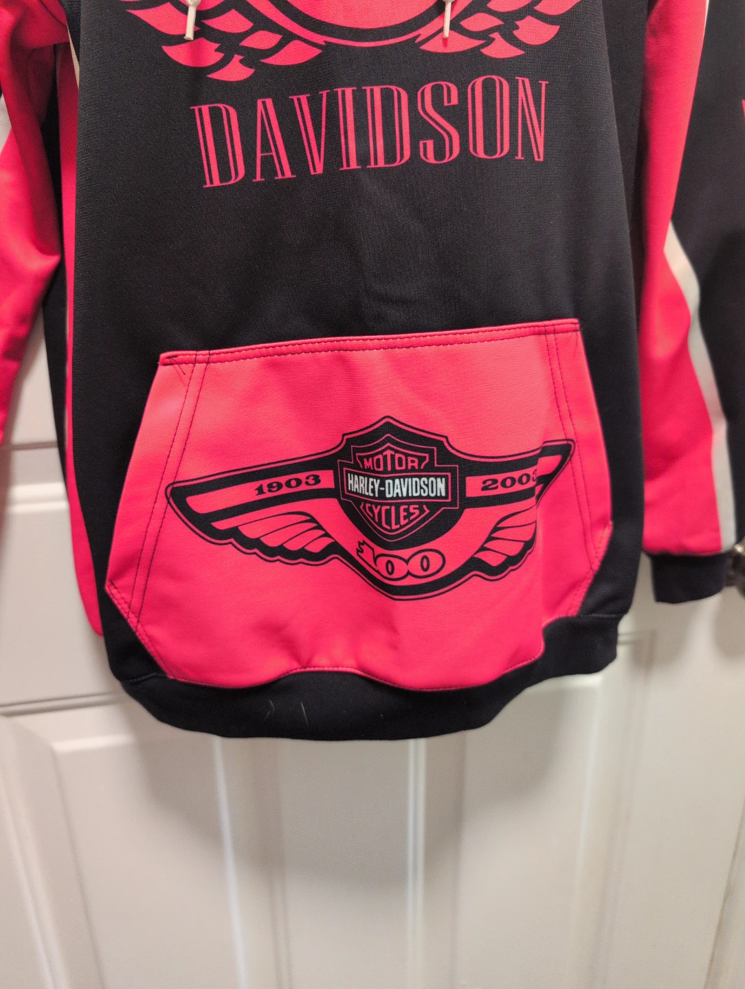 Harley-Davidson Motorcycles Hoodie - photo 2