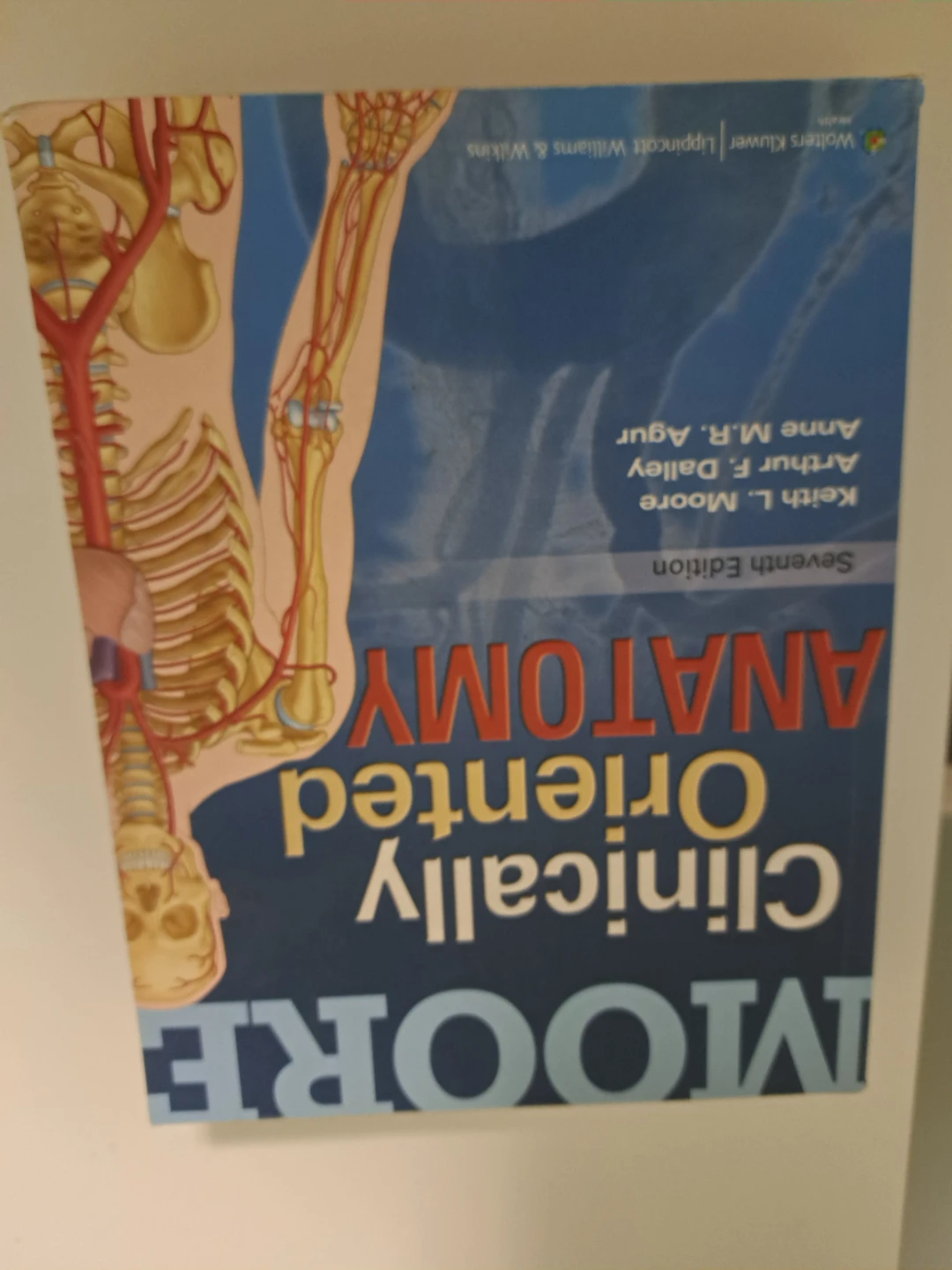 Moore Clinically Oriented Anatomy Seventh Edition