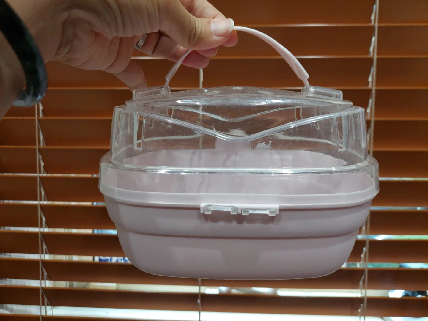 Small Clear Pet Carrier/Digging Pen 🏈