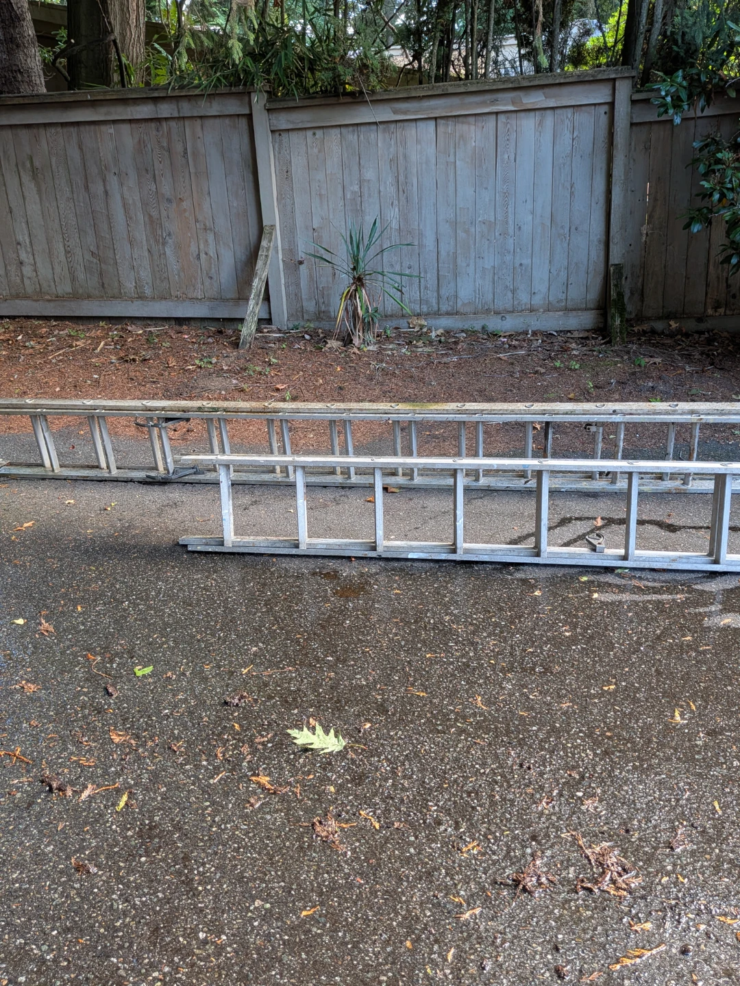 Aluminum Extension Ladder