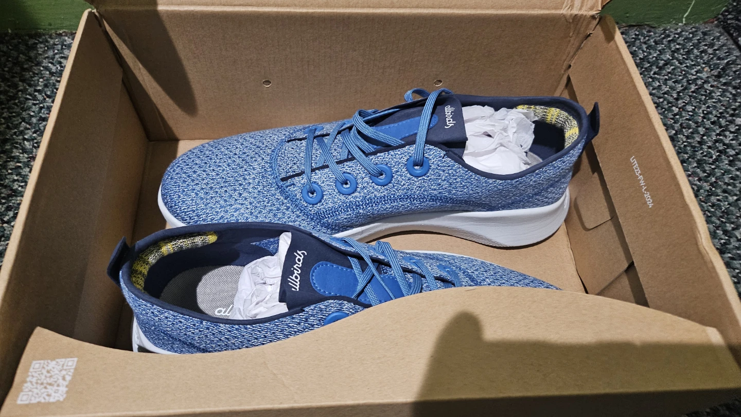 Allbirds SuperLight Tree Runners