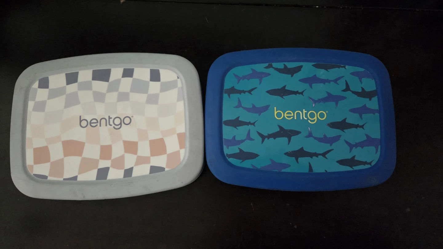 Bento lunch box