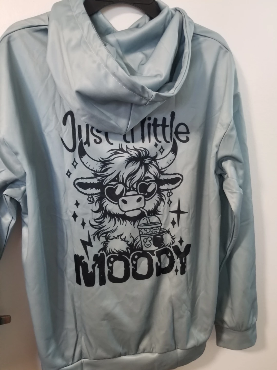 Moody Highland Cow Graphic Hoodie XL - photo 4