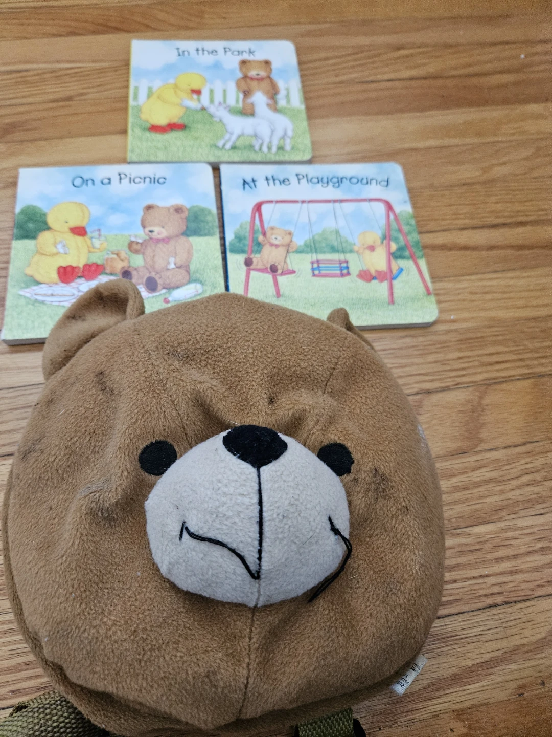 Teddy Bear Bag and Three Books