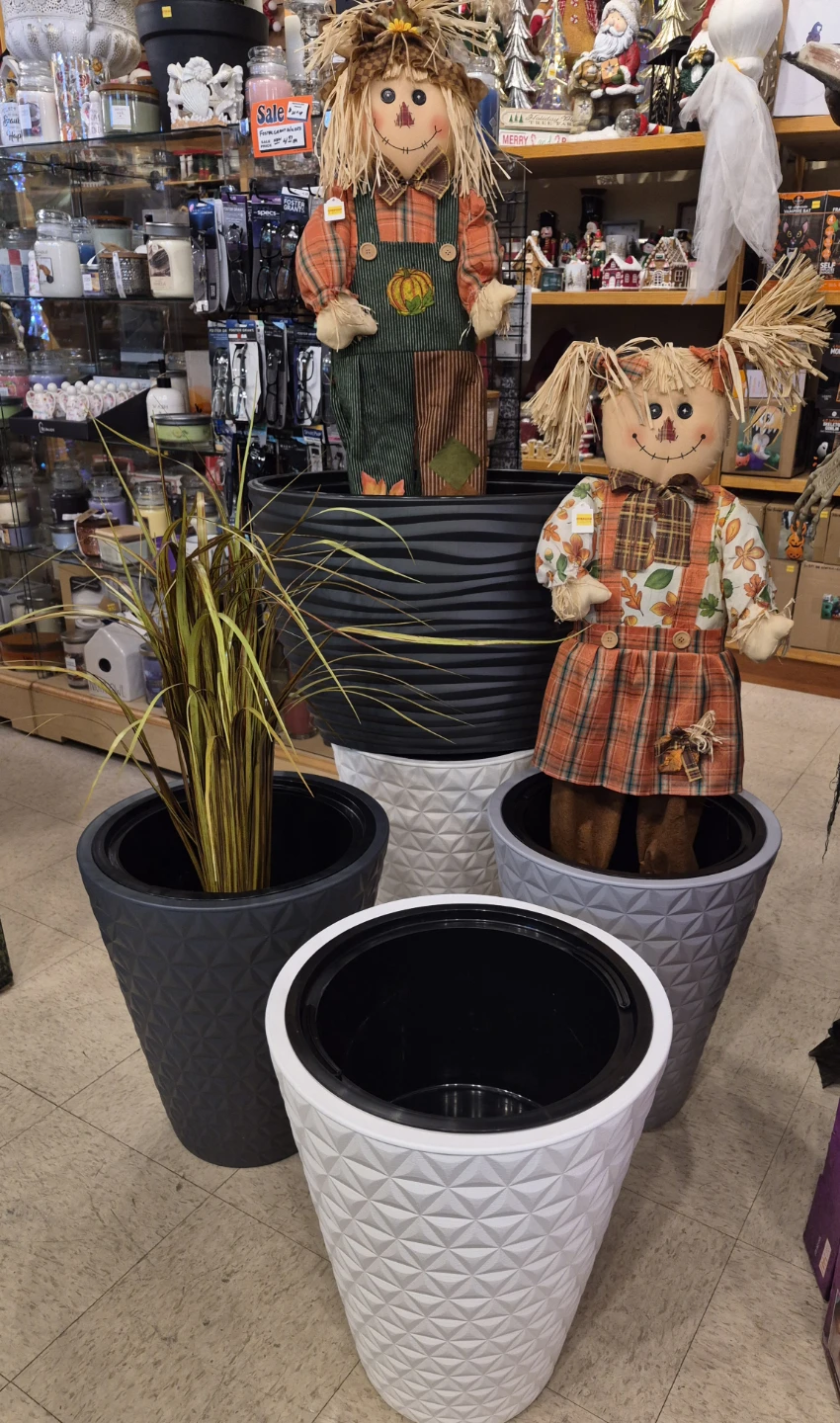 BLOWOUT SALE  $20  each fall & winter planters