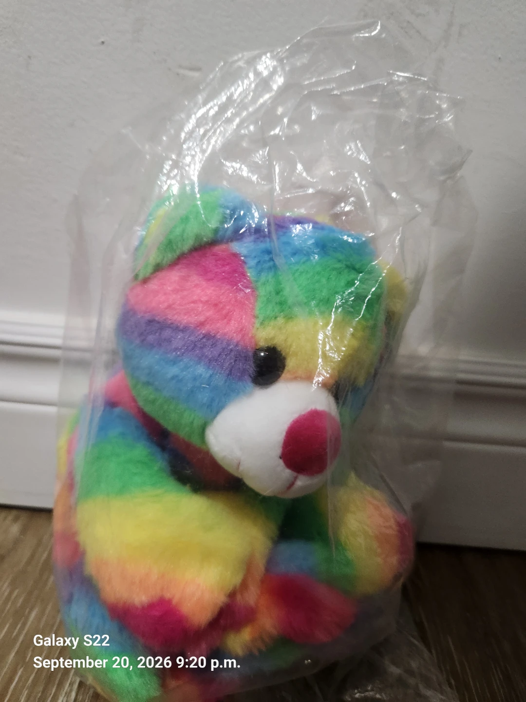 Rainbow Plush build a bear 🏈