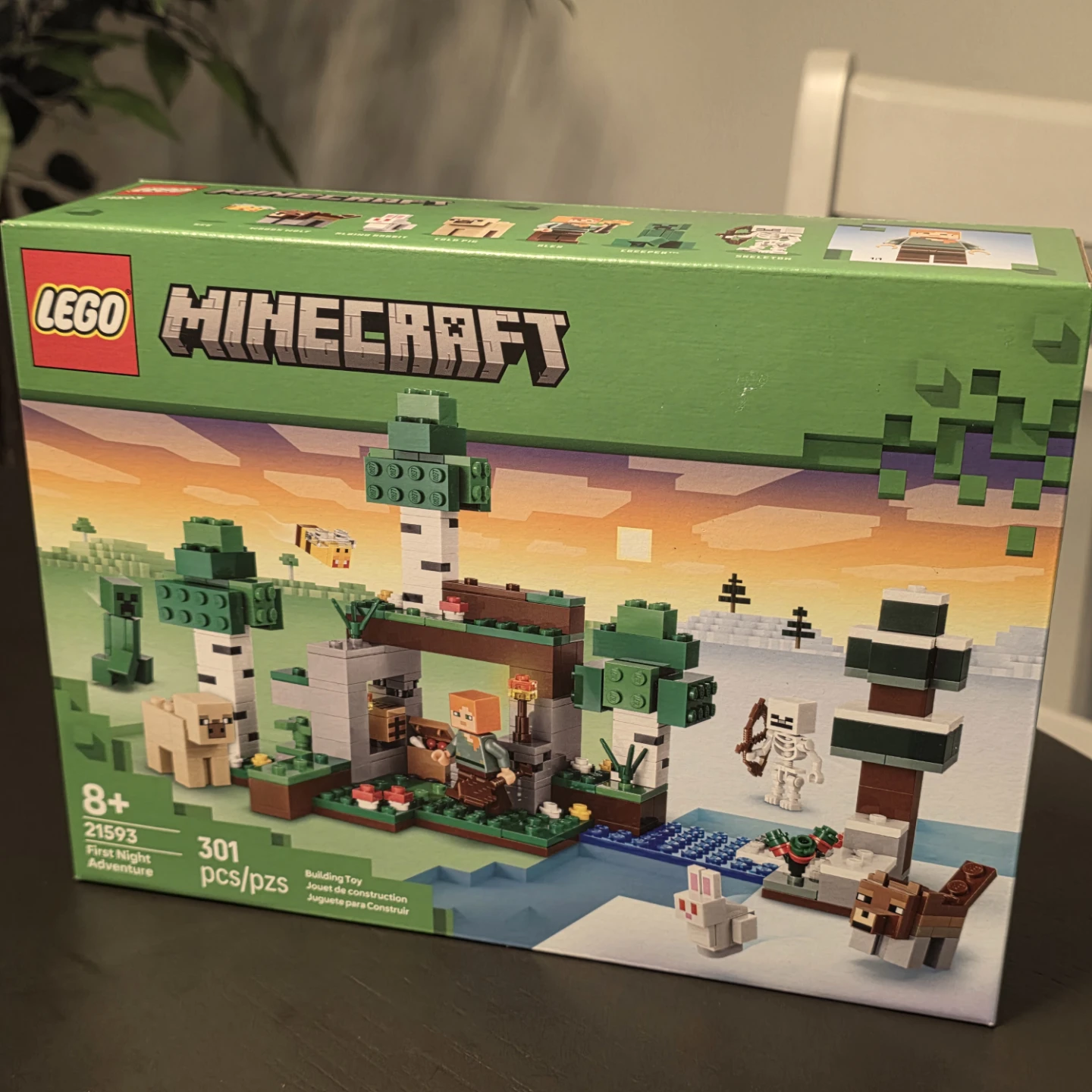 LEGO Minecraft First Night Adventure Building Set 21593