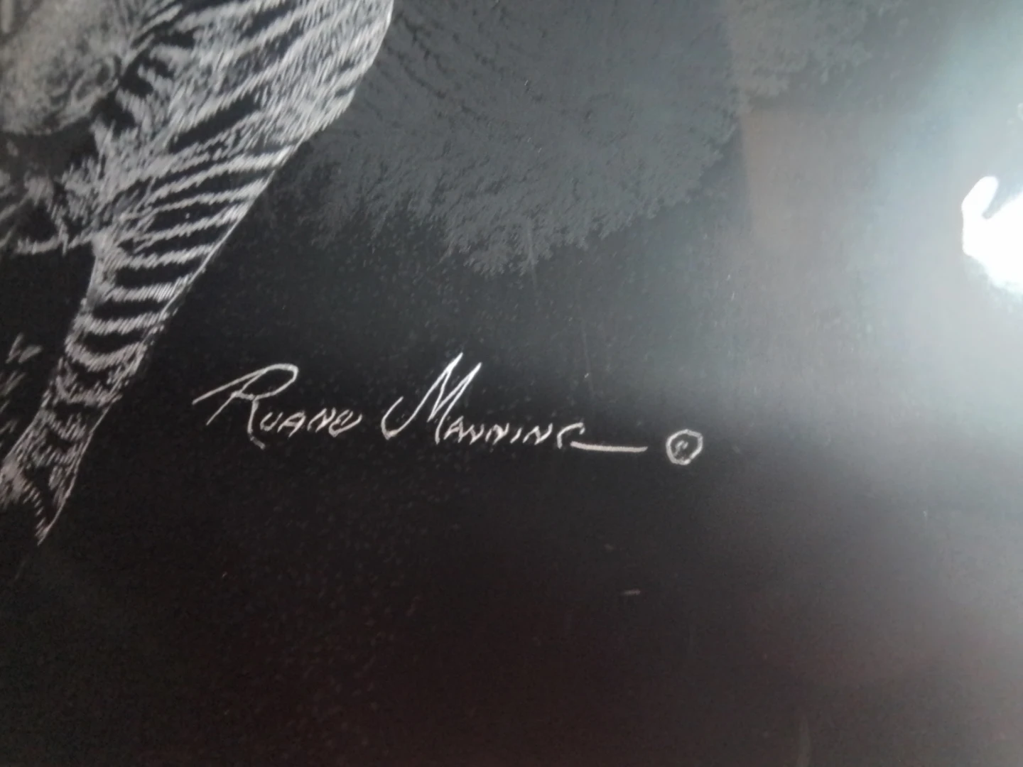 Ruane Manning zebra art print in frame - photo 2
