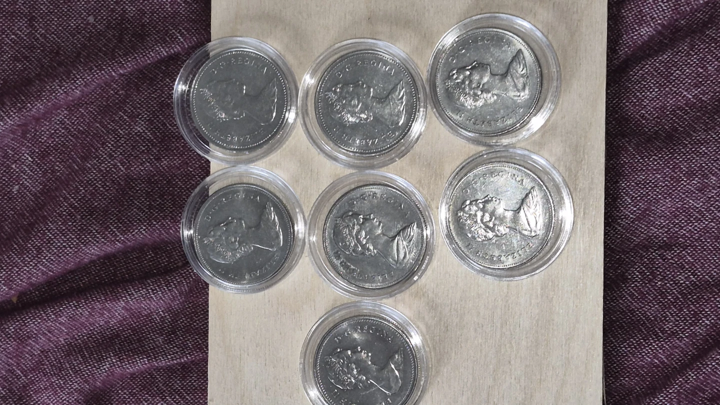 50 cents and Dollars Voyageurs - photo 5