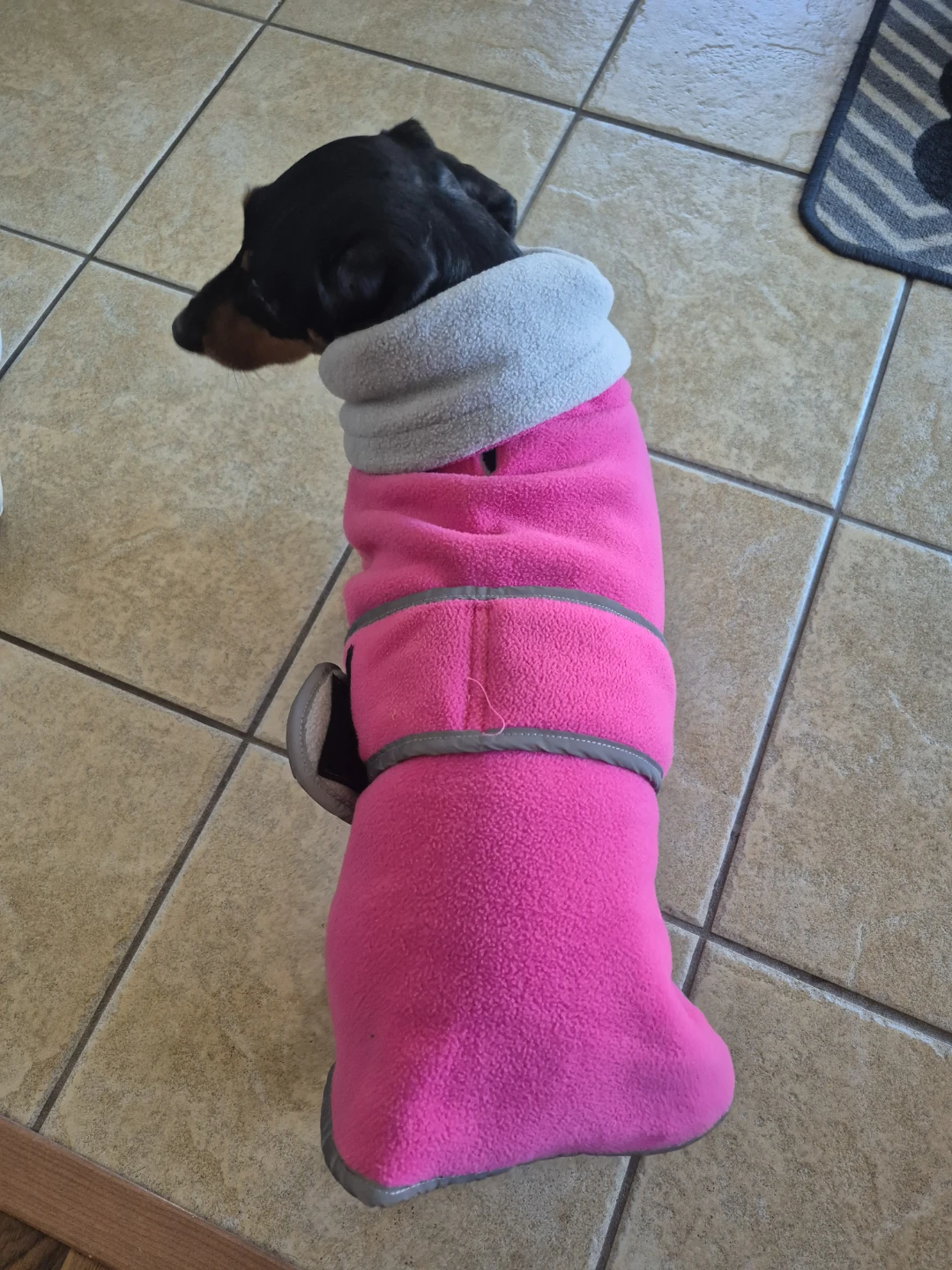 Pink fleece dog coat size M for Mini Daschund - photo 4