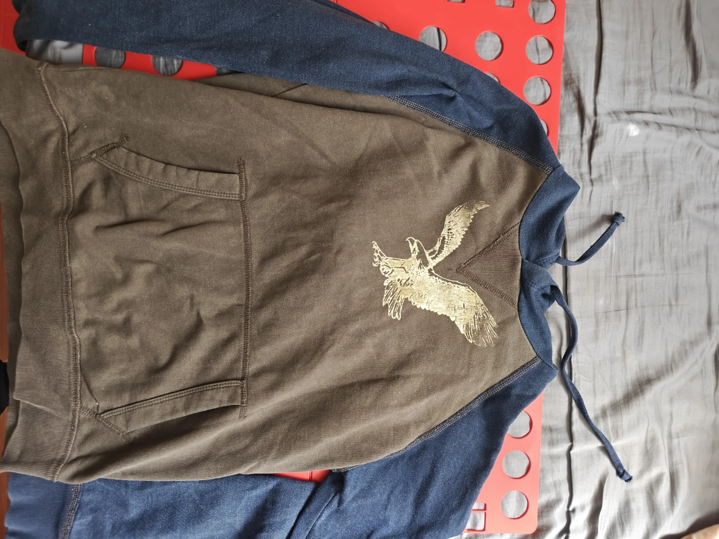 American Eagle Hooded Sweatshirt