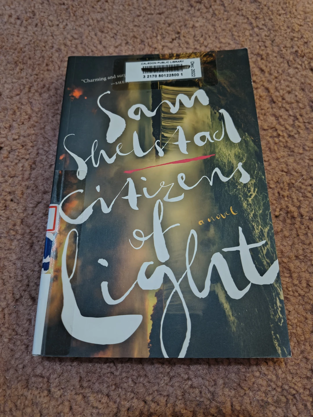 Citizens of Light by Sam Shelstad 🏈