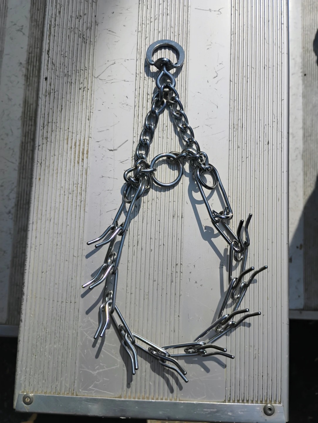 Chrome Pinch Dog Collar - photo 2