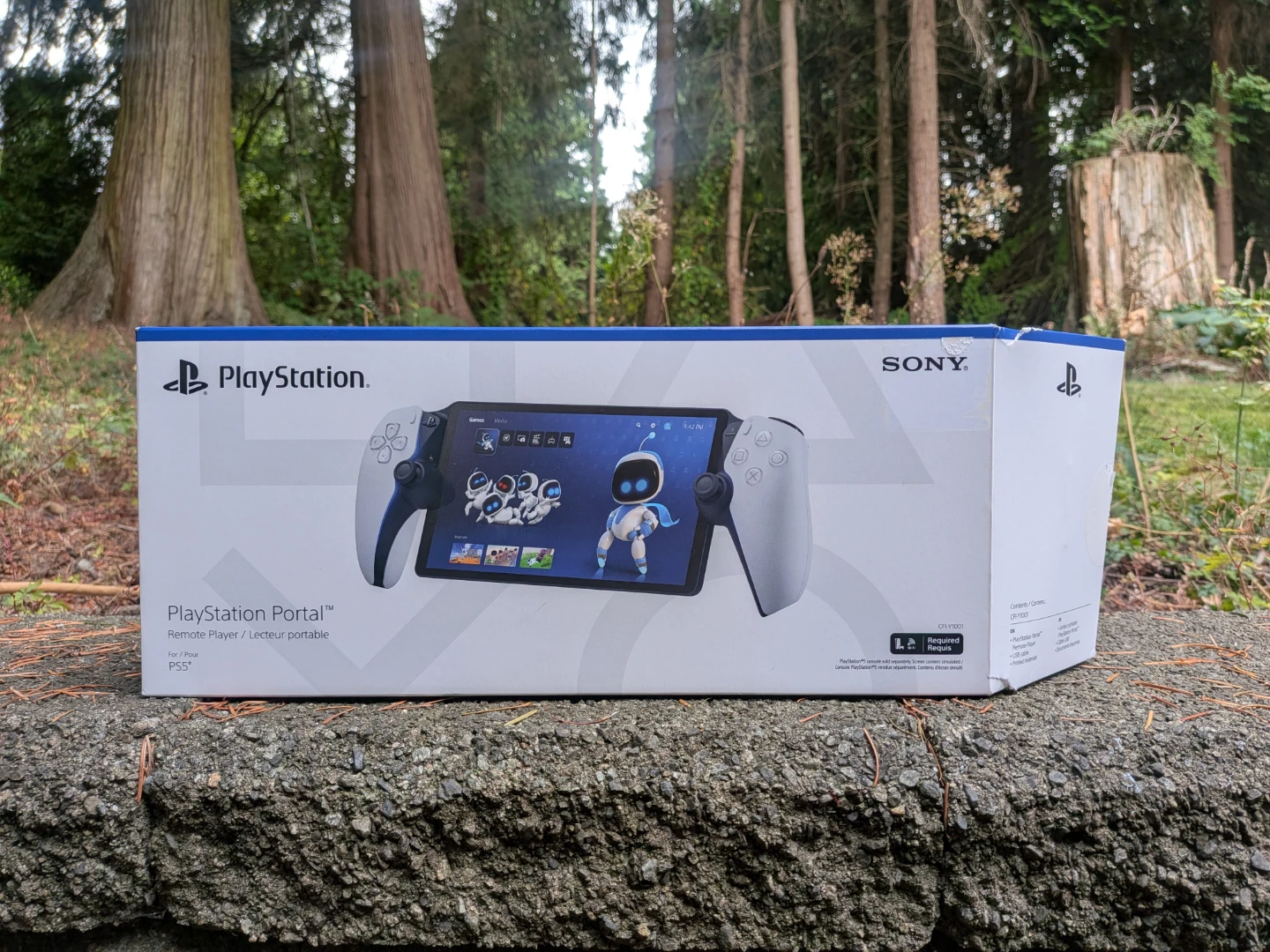 PlayStation Portal PS5 Remote Player