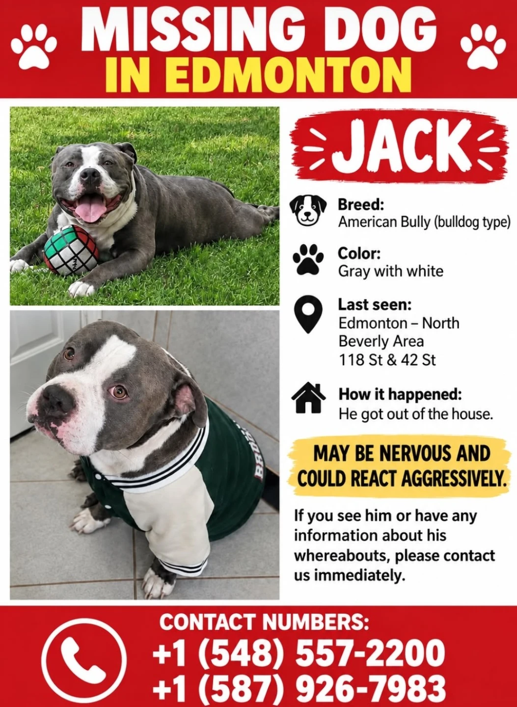 Pet lost in Beacon High