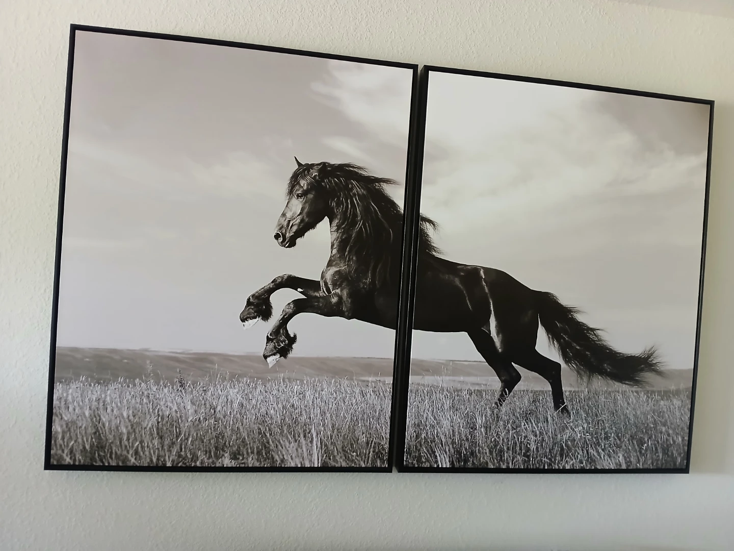 Black and White Horse Wall Art Set