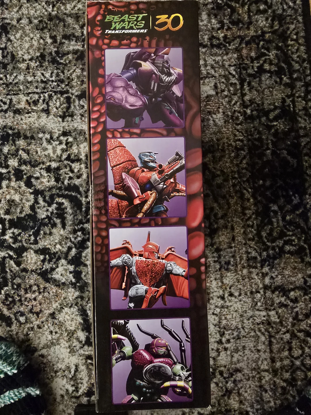 Beast Wars Transformers Predacon Collection Hasbro - photo 4