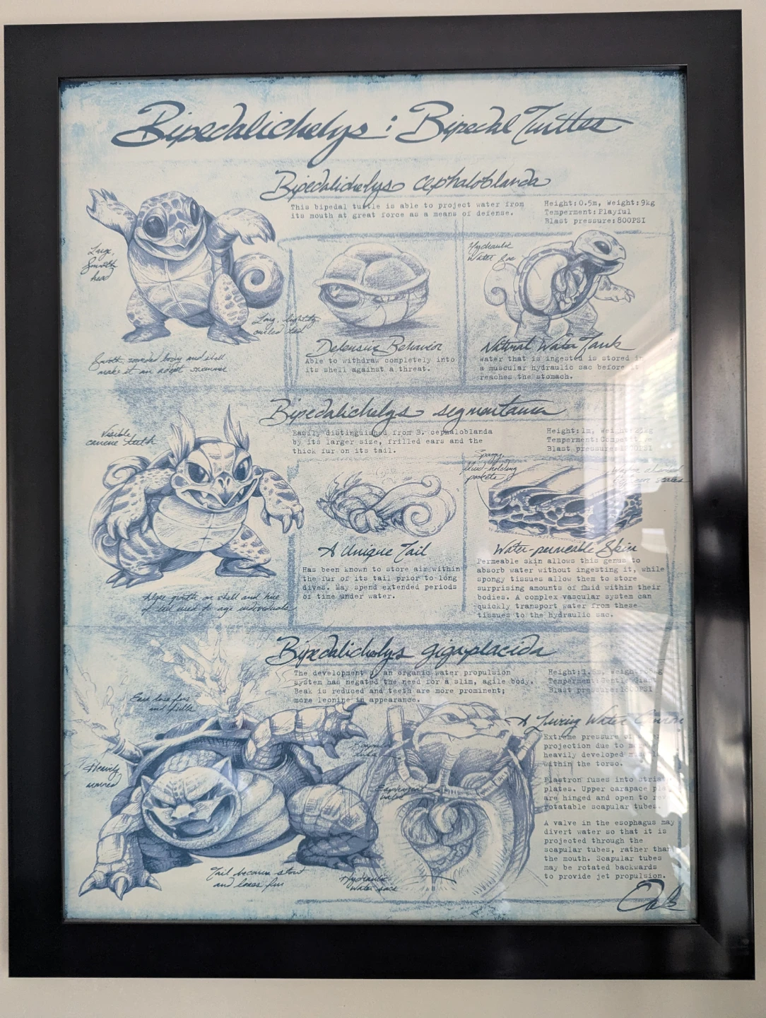 Original Starting Pokemon "Studies of Evolution" Poster Series - photo 4