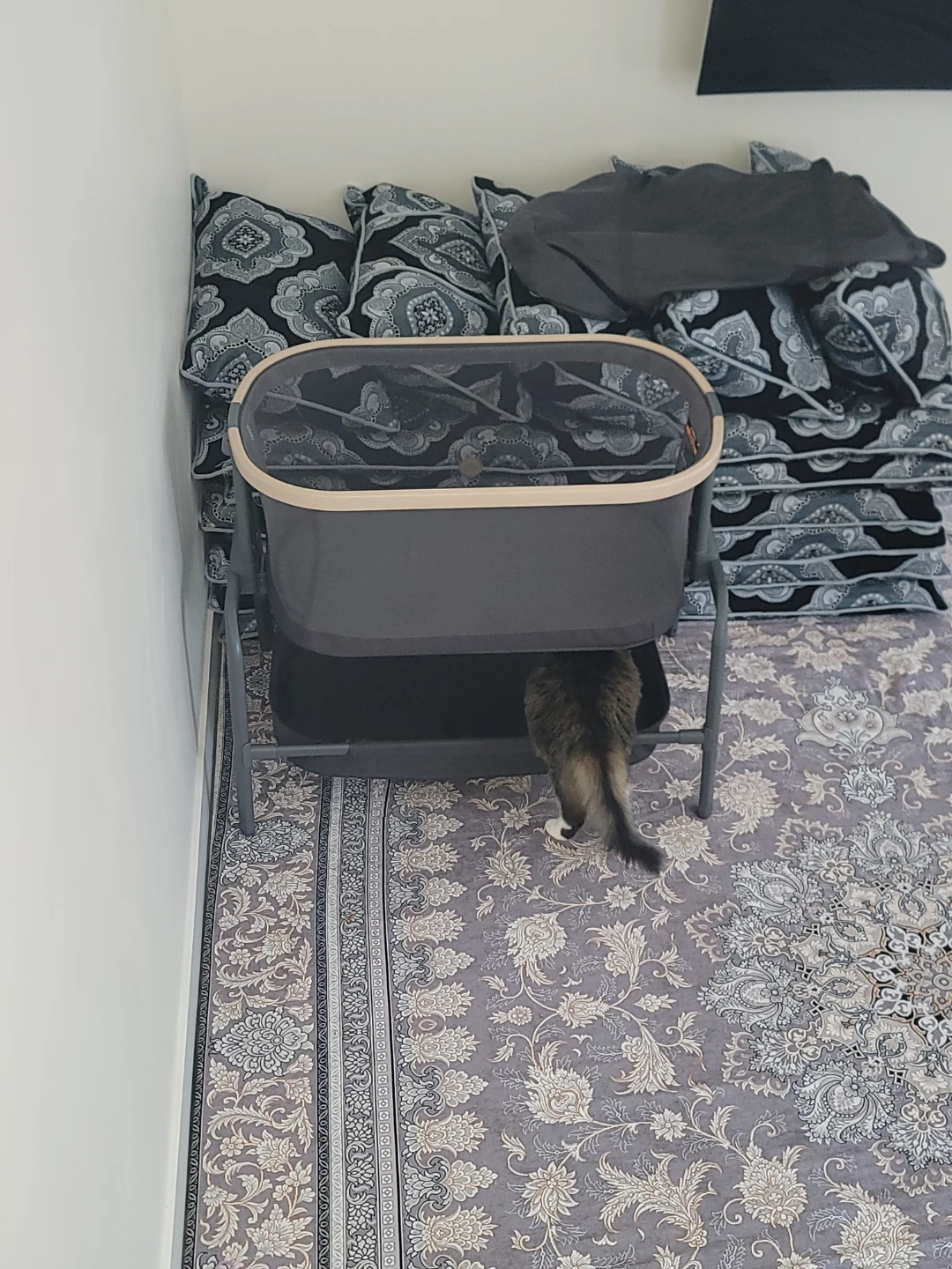 Brand new Baby Bassinet - photo 2