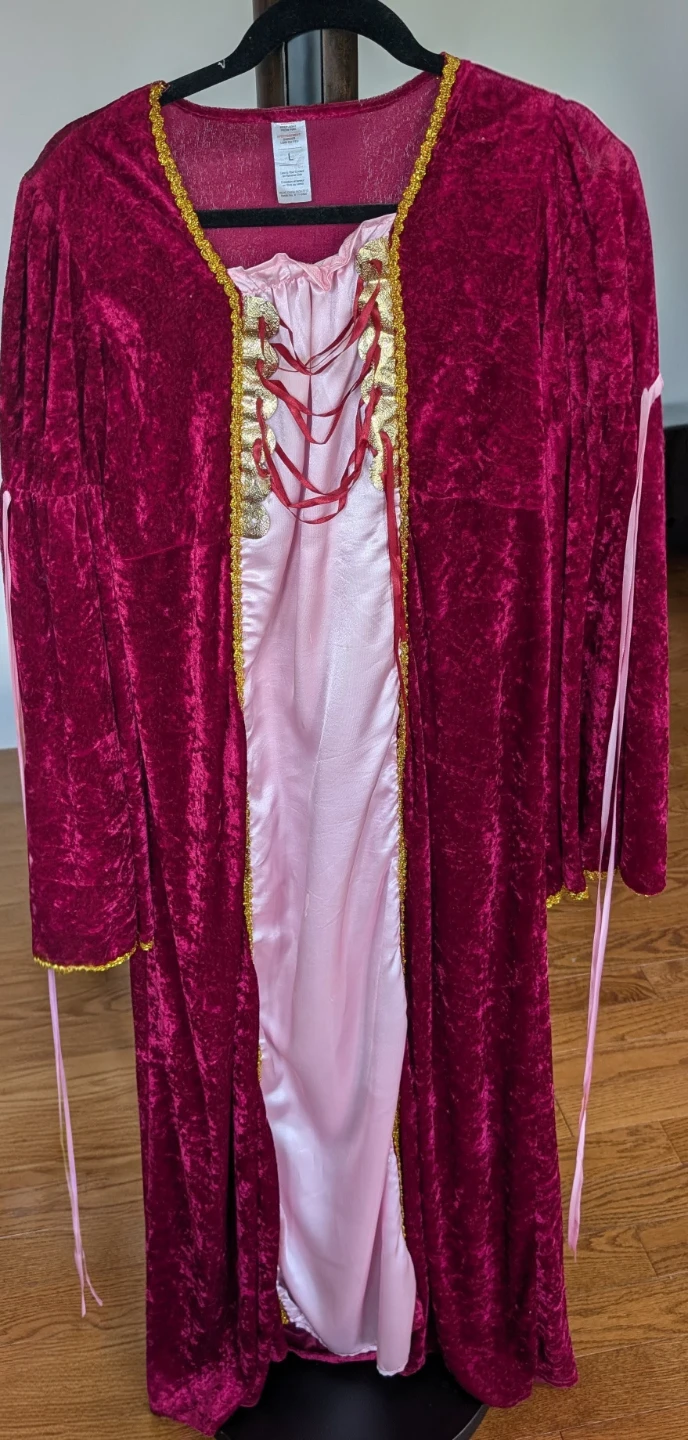 👑 Renaissance Princess Costume - photo 2