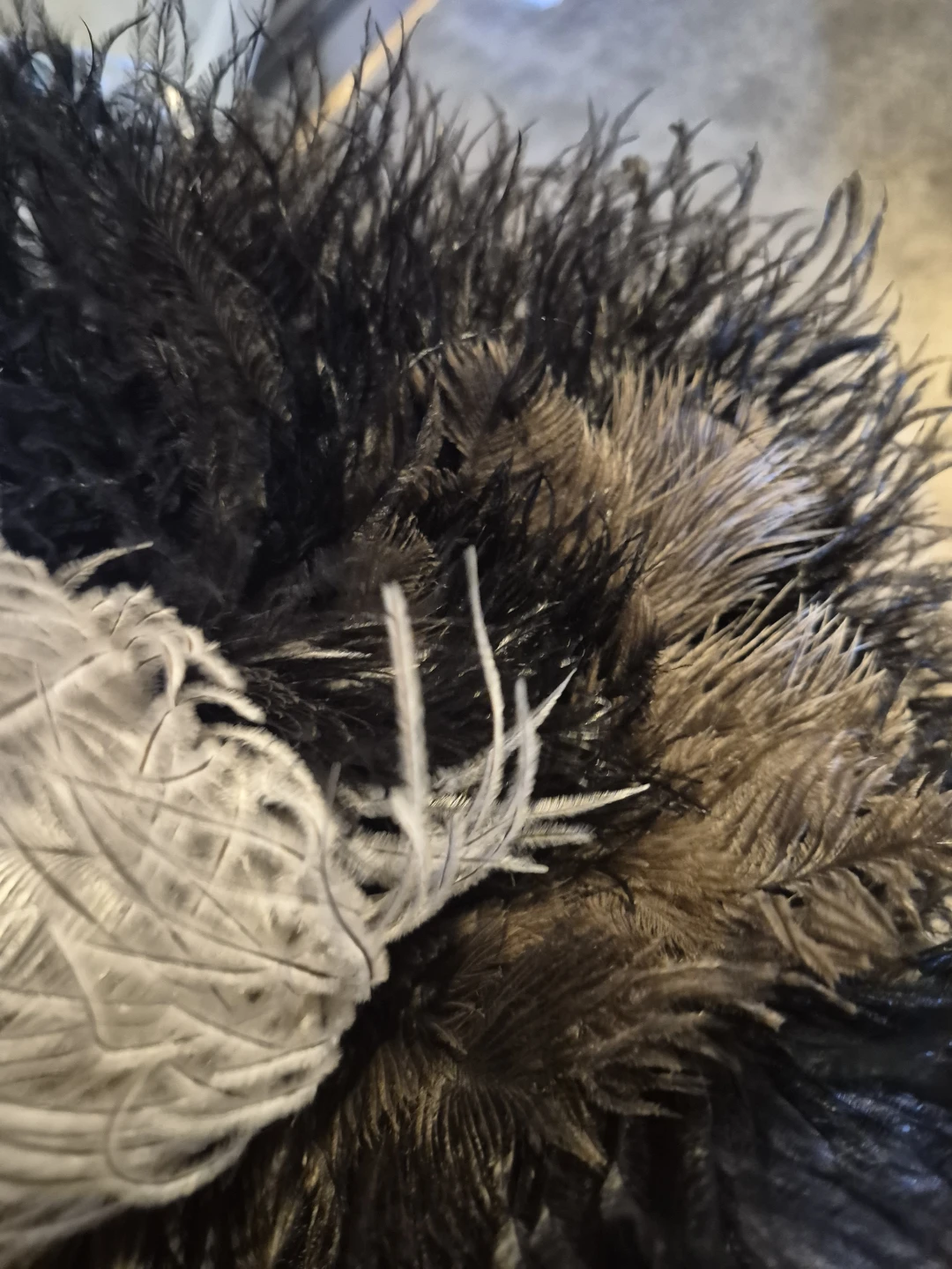 Decorative Ostrich Feather Piece - photo 2
