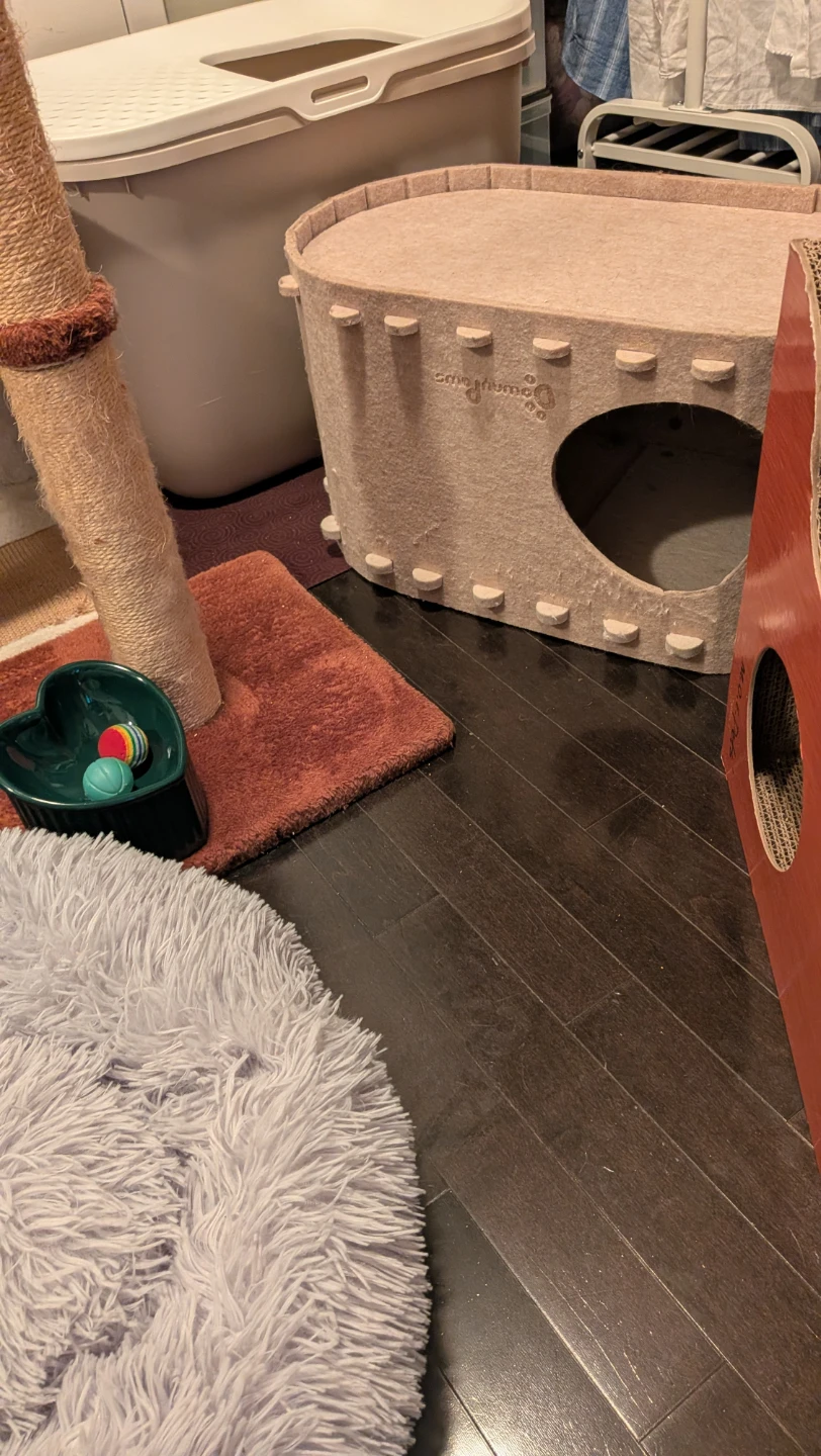 Cat Tree Condo, Scratching Posts, Litter Box, Bowl, Bed Bundle - photo 3