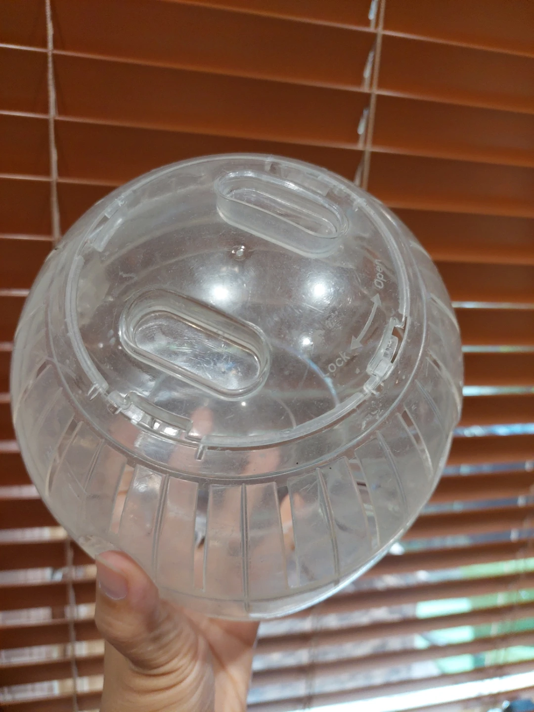 Hamster Ball for Small Pets 🏈 - photo 3