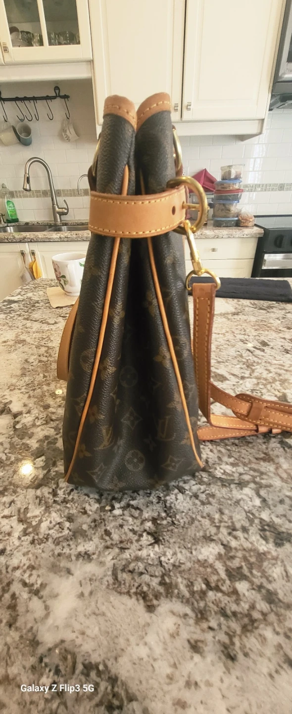 Louis Vuitton Monogram Leather Tote Bag - photo 3