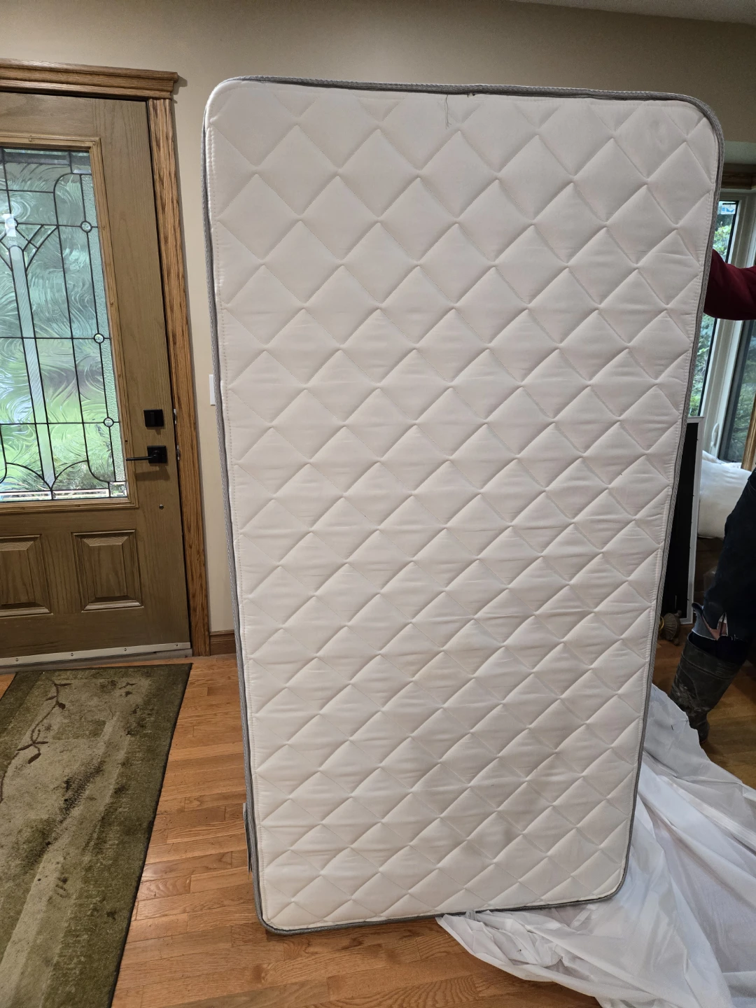 Serta Paddington Twin Mattress