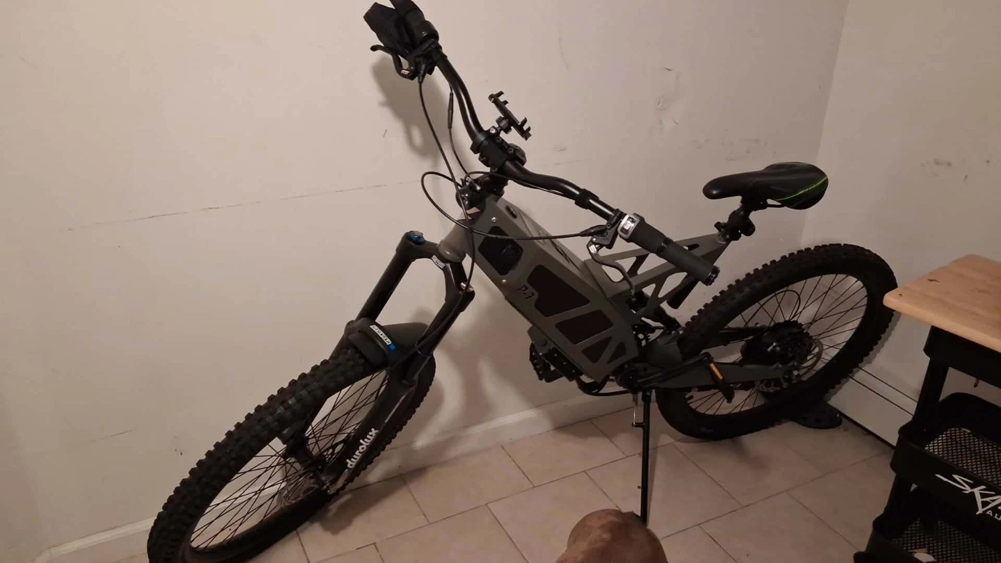 Electric bike