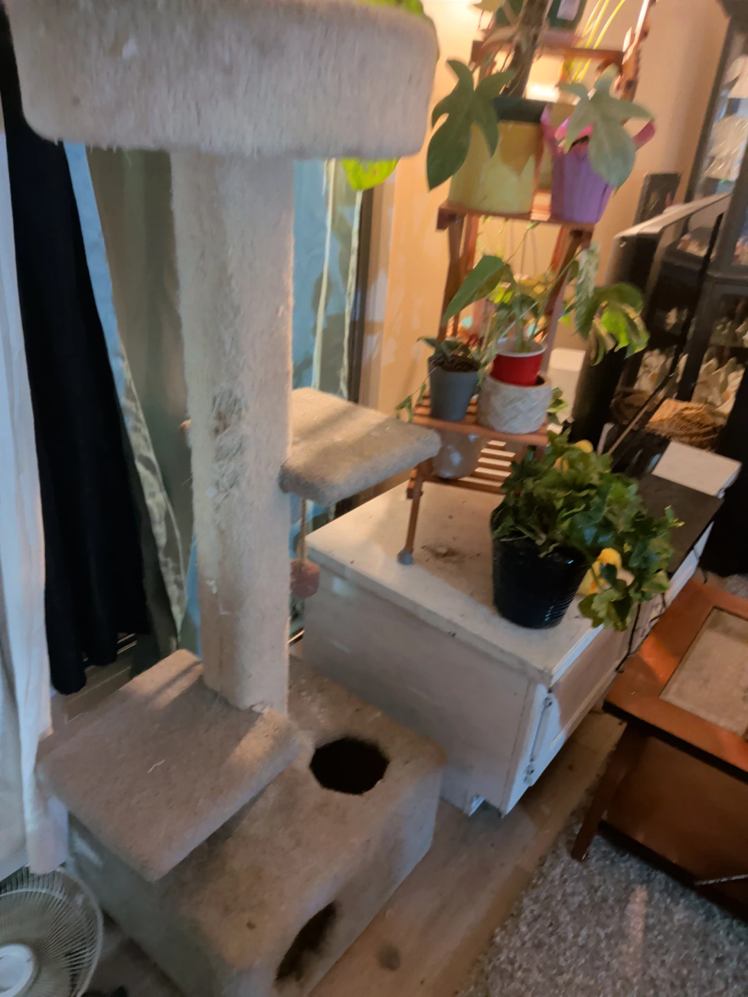 Beige Carpeted Cat Tree