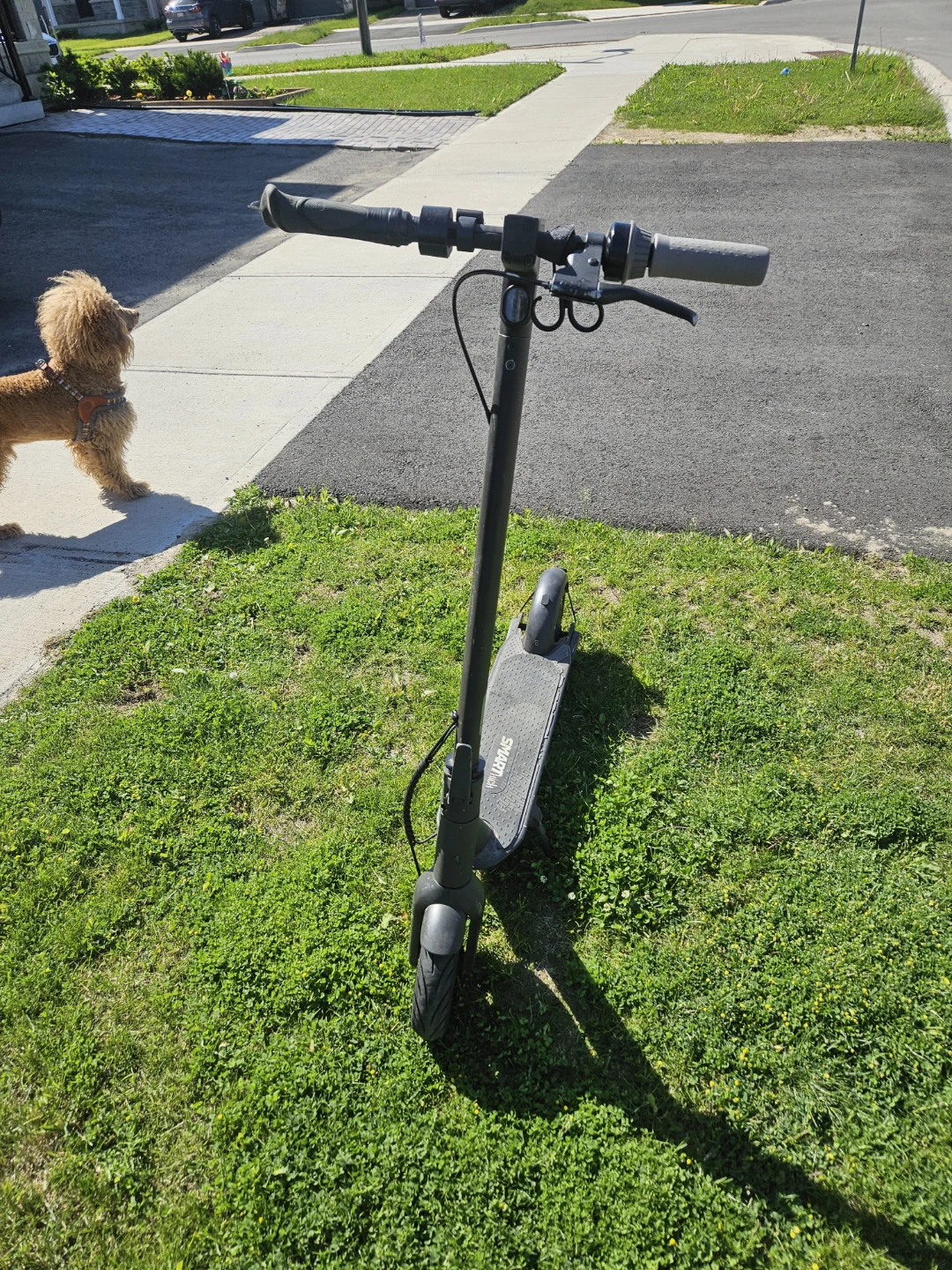 The original ninebot - photo 4
