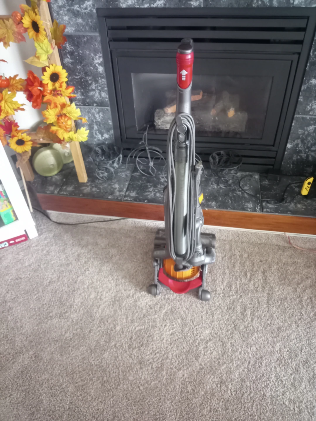 Dyson Ball Vacuum Cleaner - photo 3