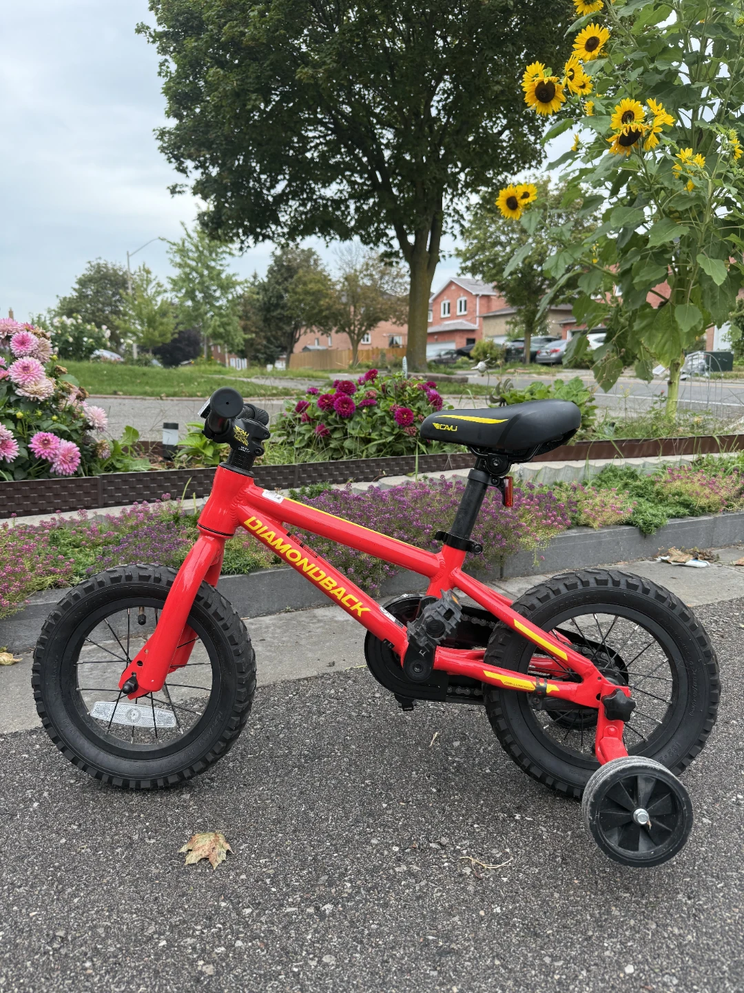 12" Junior Mountain Bike (for 2-4 years old)