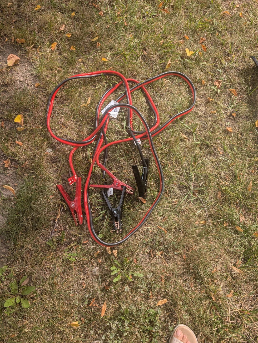 Motomaster Jumper Cables